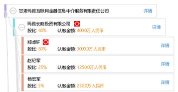 甘肅瑪雅互聯(lián)網(wǎng)金融信息中介服務(wù) 數(shù)字化時代下的信息橋梁